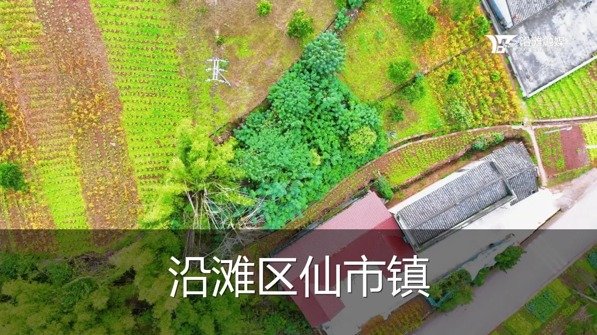 沿滩区仙市镇