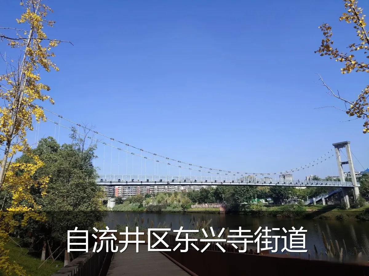 自流井区东兴寺街道