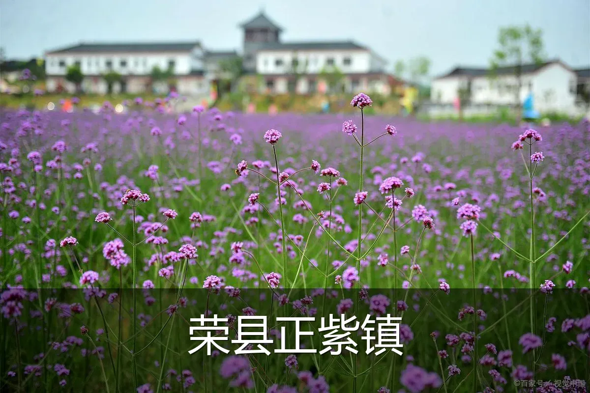 荣县正紫镇