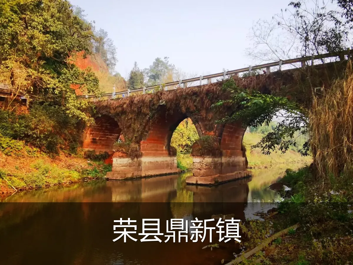 荣县鼎新镇