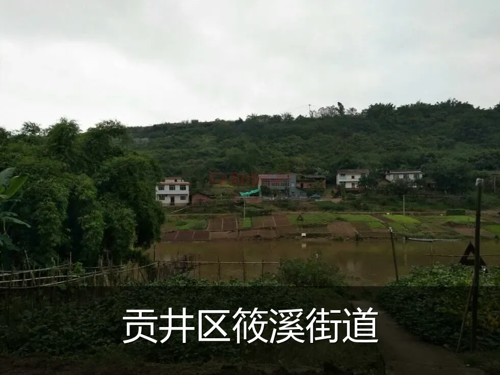 贡井区筱溪街道